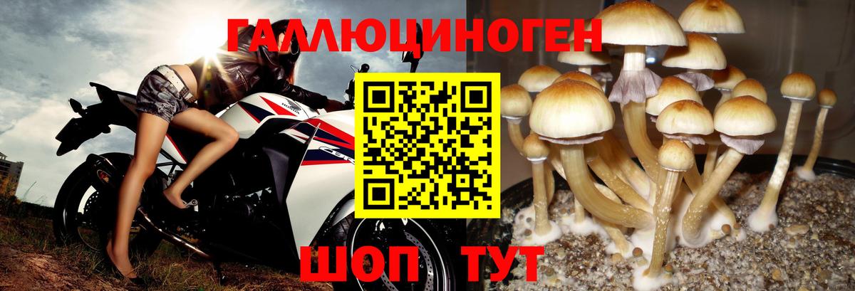 Псилоцибиновые грибы мухоморы  Псилоцибиновые грибы мицелий  Свободный  Вход с VPN 